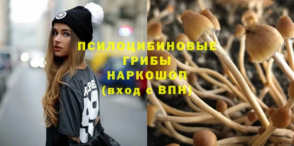 прущие крисы Богородицк