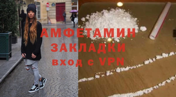 ГАЛЛЮЦИНОГЕННЫЕ ГРИБЫ Тайга