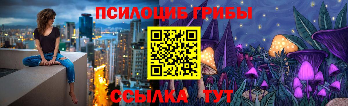 Городец  как найти закладки  Псилоцибиновые грибы Psilocybine cubensis  Вход с VPN  Галлюциногенные грибы Cubensis 