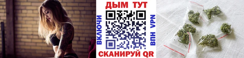 наркотики  Городец  Бошки Шишки сатива 